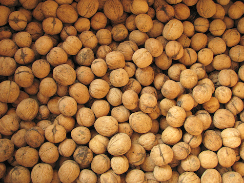 Свежие новости: На Николаевщине планируют открыть завод по переработке грецких орехов