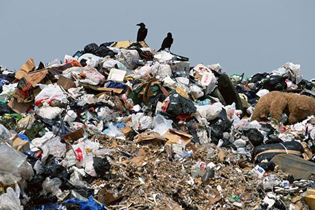 Свежие новости: В Украине 99% свалок не соответствуют современным экологическим требованиям, - Минэкологии