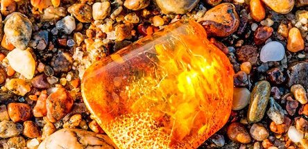 Свежие новости: В Украине начали официально торговать землей для легальной добычи янтаря