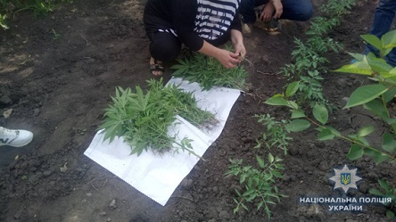 Свежие новости: Полицейские Новобугского района изъяли у местного жителя оружие и наркотики