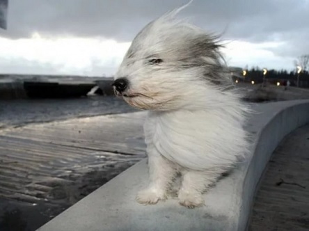 Свежие новости: Сегодня по всей Украине объявили штормовое предупреждени