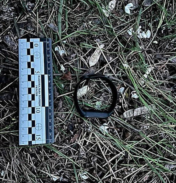 Свежие новости: У Вознесенському районі затримали мешканця за підозрою в згвалтуванні 19-річної дівчини