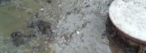 Свежие новости: ВИДЕО: «Жутко воняет, все клумбы затопило», — в Николаеве прорвало канализацию