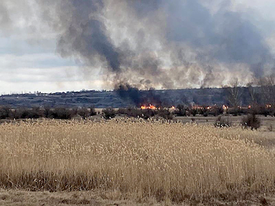 Свежие новости: В Новоодесском районе пылает камыш, занялось 3 гектар