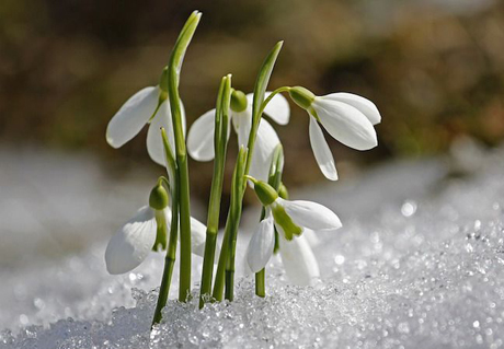 Свежие новости: С надеждами на тепло: синоптики рассказали, какой будет весна