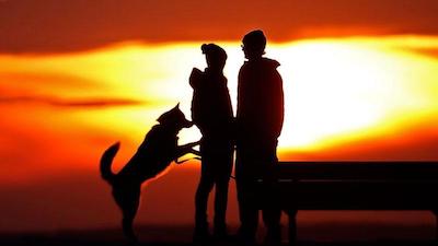 Свежие новости: В Канаде женщина, чтобы избежать карантина, выгуливала мужа на поводке