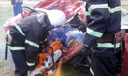 Свежие новости: Недалеко от Очакова автомобиль KIA влетел в дерево – в аварии погибла женщина