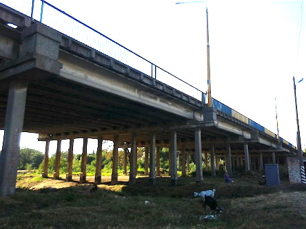 Свежие новости: В Николаеве возле Широкобальского моста нашли труп мужчины