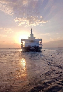 Свежие новости: З Одеси вийшло ще одне судно новим коридором