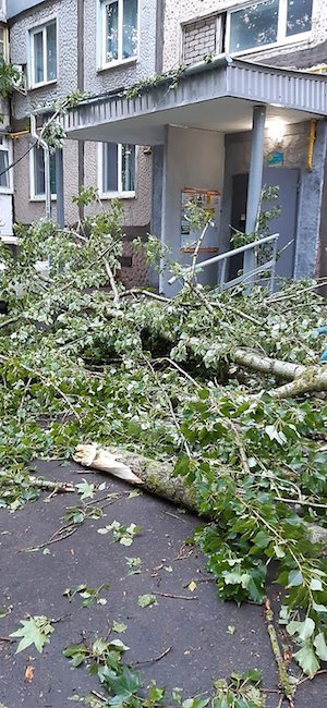 Фото новости: В Николаеве в результате непогоды ветром снесло крышу дома Свежие новости: В Николаеве в результате непогоды ветром снесло крышу дома