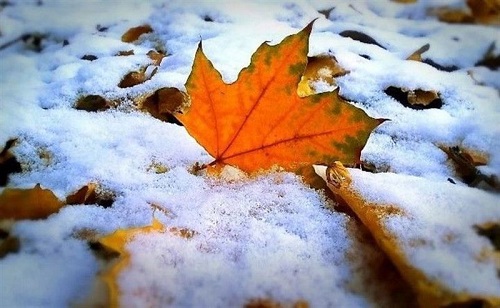 Свежие новости: Синоптик рассказал, выпадет ли первый снег на этой неделе