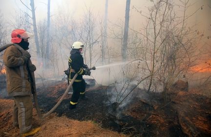 Свежие новости: В Киеве фиксируют превышение опасных частиц, причина этому — пожары