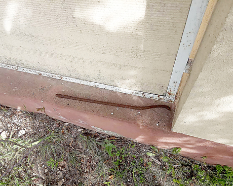 Свежие новости: В Очакове полиция охраны задержала двоих «домушников»