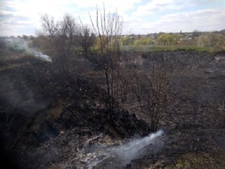 Свежие новости: На Николаевщине объявлен 5-й класс пожарной опасности: выгорело 2 гектара сухой травы и мусора