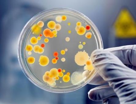 Свежие новости: Из-за массового отравления детей на запорожском курорте отстранили несколько чиновников