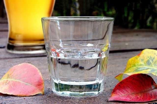 Фото новости: В «Слуге народа» решили легализовать самогон Свежие новости: В «Слуге народа» решили легализовать самогон