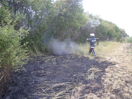 Свежие новости: На территории Николаевской области продолжает гореть сухая трава и мусор