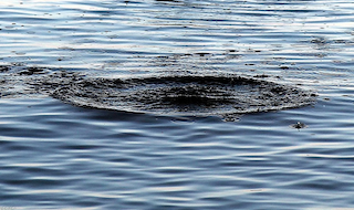 Свежие новости: Пішов купатися і не повернувся: у Миколаєві потонув чоловік