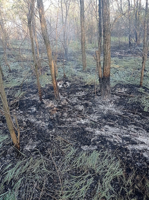 Свежие новости: Ночью оккупанты обстреляли промышленные объекты и школу в Николаеве