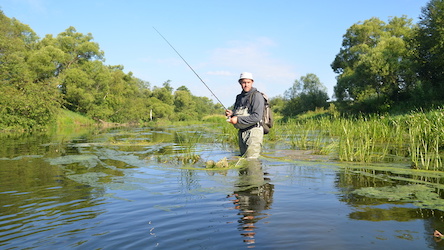 Свежие новости: За неделю на Николаевщине браконьеры наловили рыбы на 8,5 тысяч