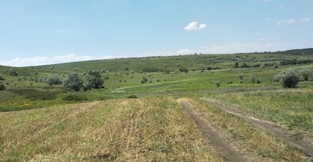 Свежие новости: В Николаевской области неизвестные вспахали земли ландшафтного заказника