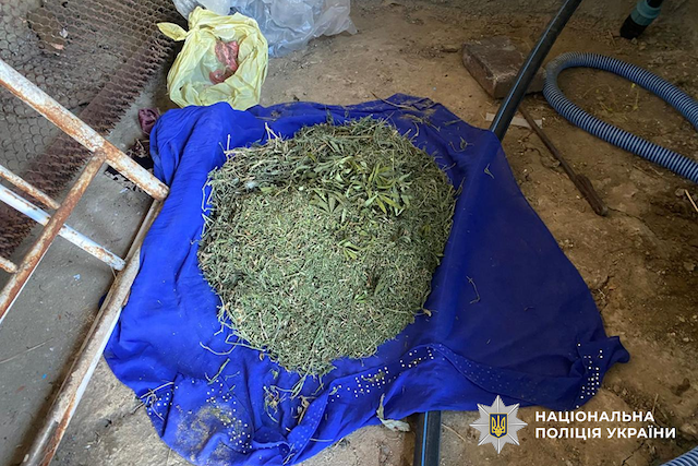 Фото новости: У Вознесенському районі поліцейські викрили підозрюваного у незаконному вирощуванні нарковмісних рослин та зберіганні канабісу Свежие новости: У Вознесенському районі поліцейські викрили підозрюваного у незаконному вирощуванні нарковмісних рослин та зберіганні канабісу