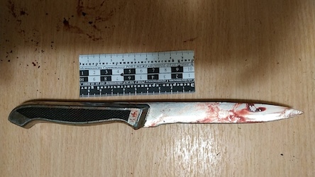 Свежие новости: Вбивство у Миколаєві