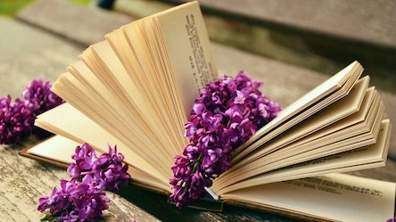 Свежие новости: В Центральній міській бібліотеці ім. М.Л. Кропивницького відбудеться прем'єра книги Тамари Парахіної «Пригоди Світозара»