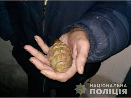 Свежие новости: На Херсонщине школьник пришел на урок с боевой гранатой