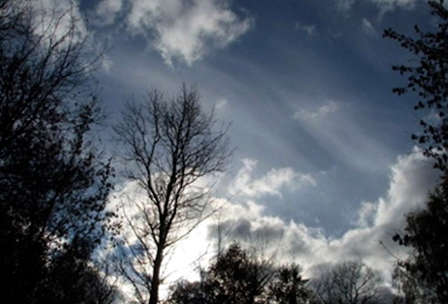 Свежие новости: В Николаеве ожидаются заморозки