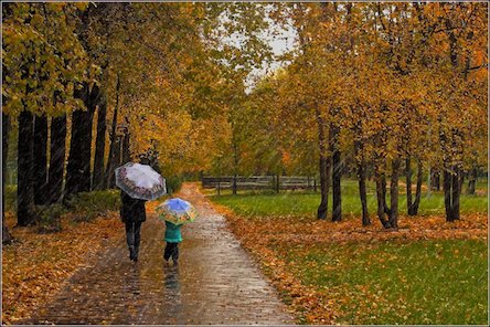 Свежие новости: Какую погоду ждать украинцам: прогноз погоды на неделю