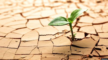 Свежие новости: На Троицу в Украине будет засуха и 35-градусная жара