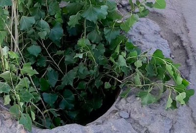 Свежие новости: В Николаеве мужчина провалился в открытый люк