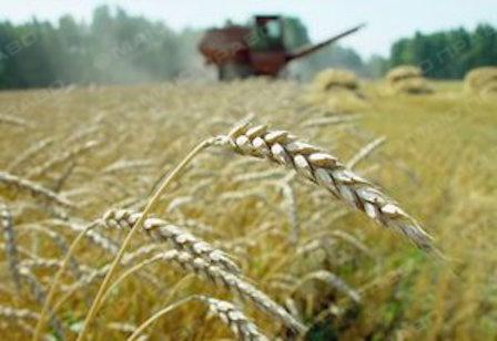 Свежие новости: Работа за рубежом: на какие вакансии украинцы нужны больше всего