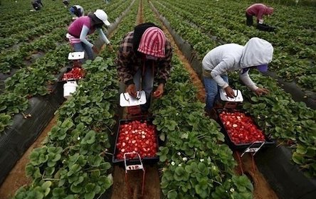 Свежие новости: Украина не будет препятствовать выезду граждан на работу за границу – Пристайко