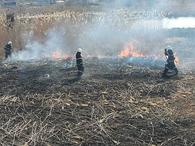 Свежие новости: В Николаеве неизвестные опять подожгли камыш – на этот раз возле озера в парке