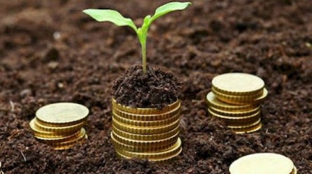 Фото новости: Фермерів звільнили від податку на землю під час карантину Свежие новости: Фермерів звільнили від податку на землю під час карантину