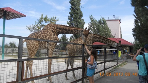 Свежие новости: Пока николаевцы страдают от аварий на ТЭЦ, компания показала, как отдыхают ее сотрудники