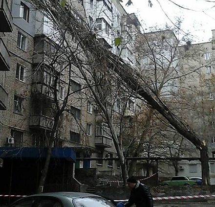 Свежие новости: В Николаеве сильный ветер повалил деревья