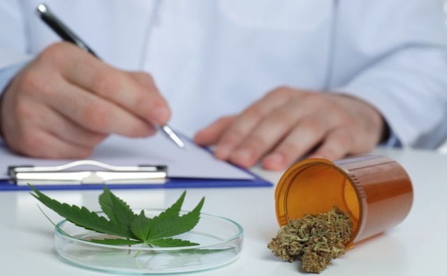 Свежие новости: «Батьківщина» заблокувала підписання закону про легалізацію медичного канабісу