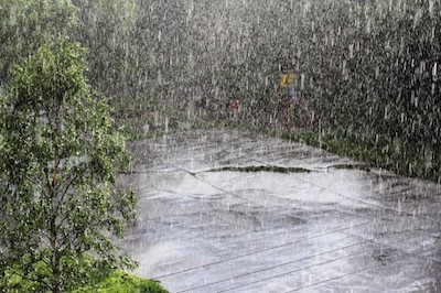 Свежие новости: Сегодня в Украине сильные дожди