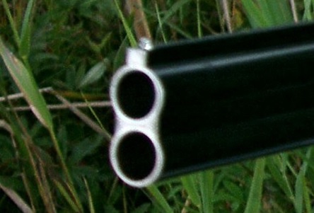 Свежие новости: В селе под Киевом мужчина застрелил строителя, чтобы не отдавать ему деньги за ремонт