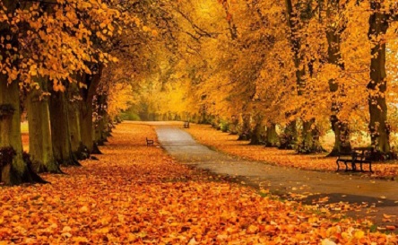 Свежие новости: Какой сегодня праздник — 3 ноября