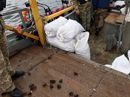 Свежие новости: В Очаковском районе местный житель незаконно выловил рапанов на 27 тысяч гривен