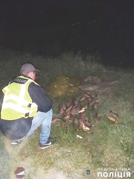 Свежие новости: На Южном Буге браконьеры установили 5 сетей, в которой было 15 кг рыбы