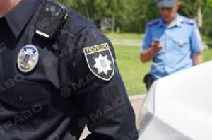 Свежие новости: Полиция в Николаевской области открыла производство за жестокое обращение с собакой