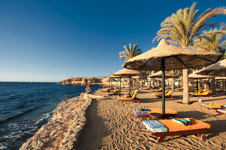 Свежие новости: В Египте продлили чрезвычайное положение еще на три месяца