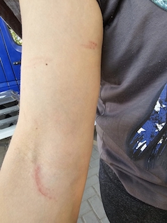 Свежие новости: У Миколаєві під час роздачі гуманітарної допомоги напали на волонтерів