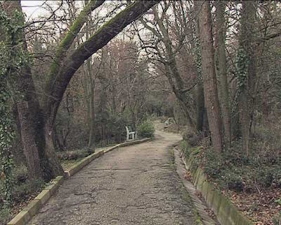 Свежие новости: Границы парка «Дружба» до сих пор не определены. Активисты подозревают дерибан земли