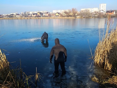 Свежие новости: С начала года на водоемах погибло более 85 человек